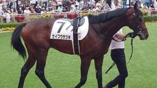 福岡ソフトバンクホークス・柳田悠岐選手 連勝で馬主2勝目なるか