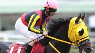 21年スプリンターズS覇者の半弟が障害戦へ 新たな舞台で再起図る