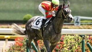 白老Fの名牝系出身馬 ファルコンSで一族初のJRA重賞制覇なるか