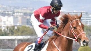 「ウマ娘」藤田晋オーナー×前川恭子厩舎の億超えホース 転厩きっかけに再浮上なるか