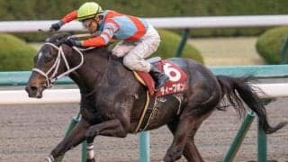 荒れない重賞 阪神大賞典で唯一3連単が10万円を超えた日