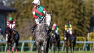 【愛知杯枠順確定】カピリナは5枠9番、スウィープフィートは8枠17番