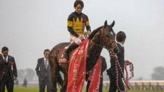 【ファルコンS枠順確定】パンジャタワーは2枠4番、クラスペディアは7枠13番