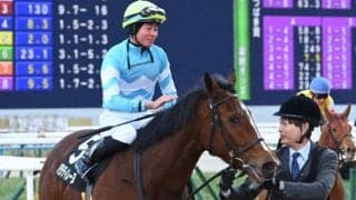 【フラワーC枠順確定】パラディレーヌは2枠4番、ゴーソーファーは6枠12番