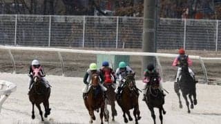 ホッカイドウ競馬で今年2回目の能力検査 77頭が合格
