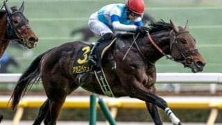 【ファルコンS予想】波乱傾向の強い3歳短距離重賞！ 前走の着順や人気に惑わされないことが的中の秘訣