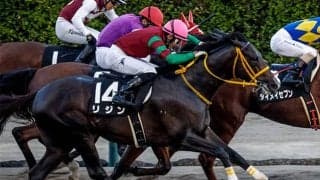 千葉ロッテマリーンズ・吉井理人監督の愛馬 転厩初戦を白星で飾れるか