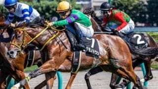 中京芝は外差しが決まるか ニタモノドウシの末脚に期待