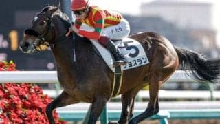 【フラワーC予想】前走1勝クラスを勝ち上がった馬に良績集中！ 前走重賞組はコースやレース格に注意