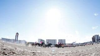19日に浦和競馬で実施予定だったネクストスター東日本 4月10日に川崎で代替開催