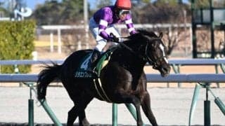 【毎日杯想定馬・騎手】リラエンブレム、ファンダムなど11頭