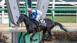 【マーチS想定馬・騎手】ロードクロンヌ、ダノンスコーピオンなど15頭