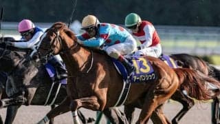 【日経賞想定馬・騎手】アーバンシック、シュヴァリエローズなど16頭