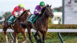 【高知・黒船賞枠順】重賞3勝目狙うエンペラーワケアは7枠9番