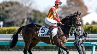 【フラワーC予想】立ち回りのうまさが求められる一戦 桜舞台へのラストチャンス