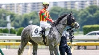 【ファルコンS予想】NHKマイルCの前哨戦 1番人気が不振で難解な一戦