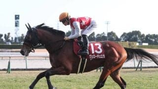 【競馬予想】天皇賞・春の前哨戦、阪神大賞典で注目の血統は？　長距離での成績から２頭をピックアップ