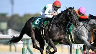 【ファルコンS結果】ヤンキーバローズが追い比べを制して重賞初制覇