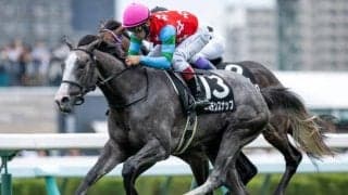 【阪神大賞典予想】天皇賞(春)に向けて重要な一戦！ 前走GI出走馬が圧巻の成績を残す