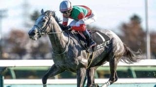 【愛知杯予想】今年は中京芝1400mが舞台！ 様変わりした愛知杯の攻略ポイントとは