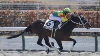 【中京3R】ルーキー和田陽希騎手が初勝利