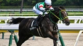 中京芝はロベルト系に注 愛知杯はエピファネイア産駒のセントメモリーズが穴