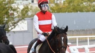 【AI予想・阪神大賞典】上位人気馬が中心となる長距離重賞！ 人工知能は頼もしい鞍上を味方に重賞初制覇を狙う実力馬に期待