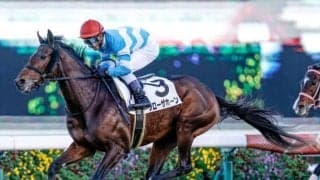 【今日の注目ポイント】阪神大賞典と条件リニューアルの愛知杯