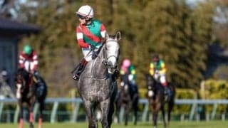 【愛知杯予想】今年から中京芝1400mの別定戦にリニューアル ヴィクトリアMへの前哨戦に