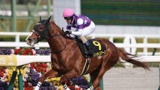 【競馬予想】阪神大賞典は後方の有力馬たちを尻目に好位で運ぶ先行勢２頭にご用心