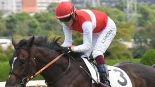 今年も狙える上位パターンとは？ 過去データから探るGII阪神大賞典