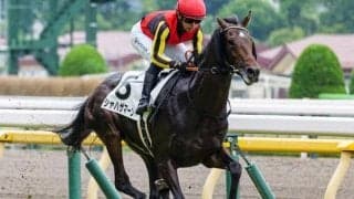 半兄に日本ダービー馬と皐月賞馬 良血がダートで連勝なるか