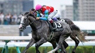 阪神大賞典は馬場傾向よりもコース適性重視で ゴールデンスナップやワープスピードなどに注目