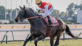 【阪神大賞典・馬体重】ショウナンラプンタは542kg(+2)、ヴェローチェエラは500kg(+4)