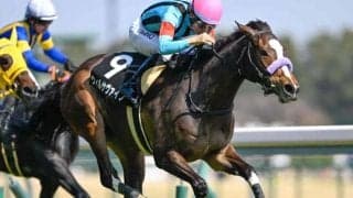 【フローラルウォーク賞結果】5番人気ウィルサヴァイブが抜け出してV