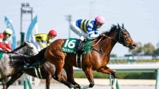 【JRA・WIN5】本日のWIN5は的中145票、配当409万3540円