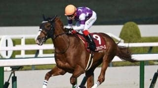 【阪神大賞典結果】ダービー4着馬サンライズアースが6馬身差圧勝 レイデオロ産駒の重賞初V