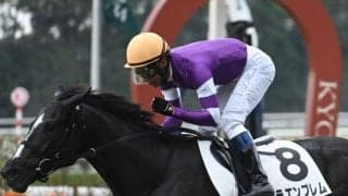 【毎日杯】リラエンブレム、ファンダムらが登録