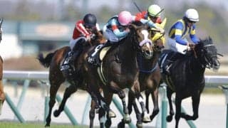 【フローラルウォーク賞】アルアイン産駒 ウィルサヴァイブが2勝目