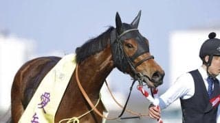 【愛知杯】北村友「競馬の幅が広がった」ワイドラトゥールが重賞初制覇