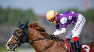 【阪神大賞典】池添「スタミナは自信があった」サンライズアースが格上挑戦で6馬身差V