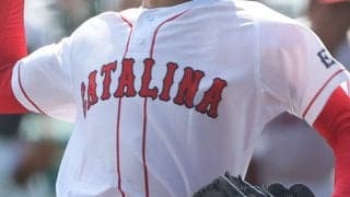聖カタリナが3回戦進出！愛媛大会【25年春高校野球】








