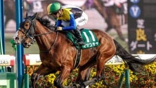 春のスプリント王決定戦・高松宮記念など4重賞/今週の競馬界の見どころ