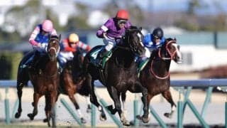 【毎日杯登録馬】リラエンブレムなど10頭