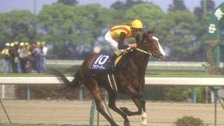 三冠馬ナリタブライアンが参戦 中京が沸きに沸いたGI昇格直後の高松宮杯