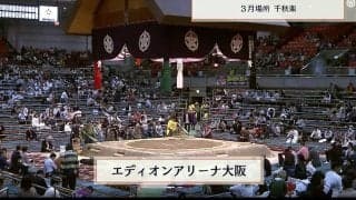大相撲春場所で注目を集めた“キレイなお姉さん” 大阪場所ならではの光景もしばらく見納め… ネットでは「相撲ロス」がトレンド入り