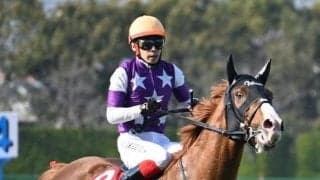 【阪神大賞典】売上は69億5592万2700円で昨年より約1.8億円減少