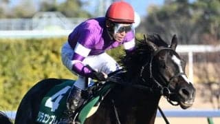 【毎日杯見どころ】大物感タップリのリラエンブレムが無傷3連勝を狙う