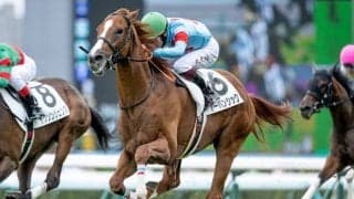 【日経賞見どころ】アーバンシックが格の違いを見せつける