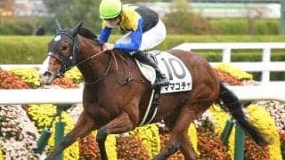 【高松宮記念見どころ】復調のママコチャが久々のGIの美酒に酔う